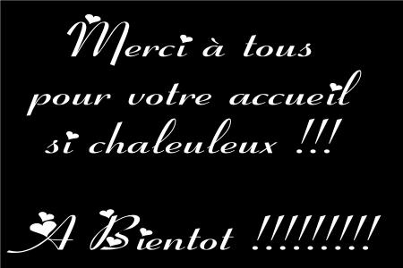 nCore MeRci a VoUs, DoM Et LaUrEnt en paRticuliR !!
